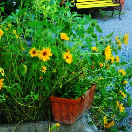 Bed & Breakfast Il Rifugio