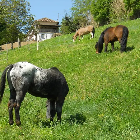 Panzió Il Rifugio *