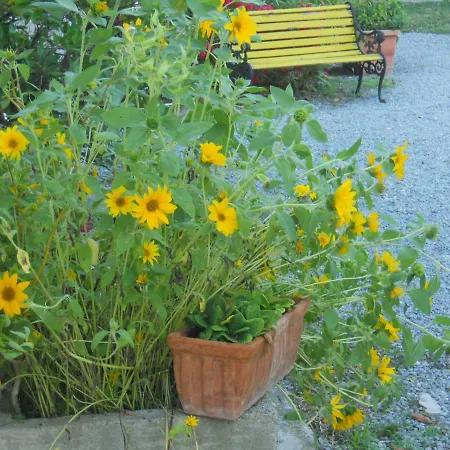 Il Rifugio Bed & Breakfast *